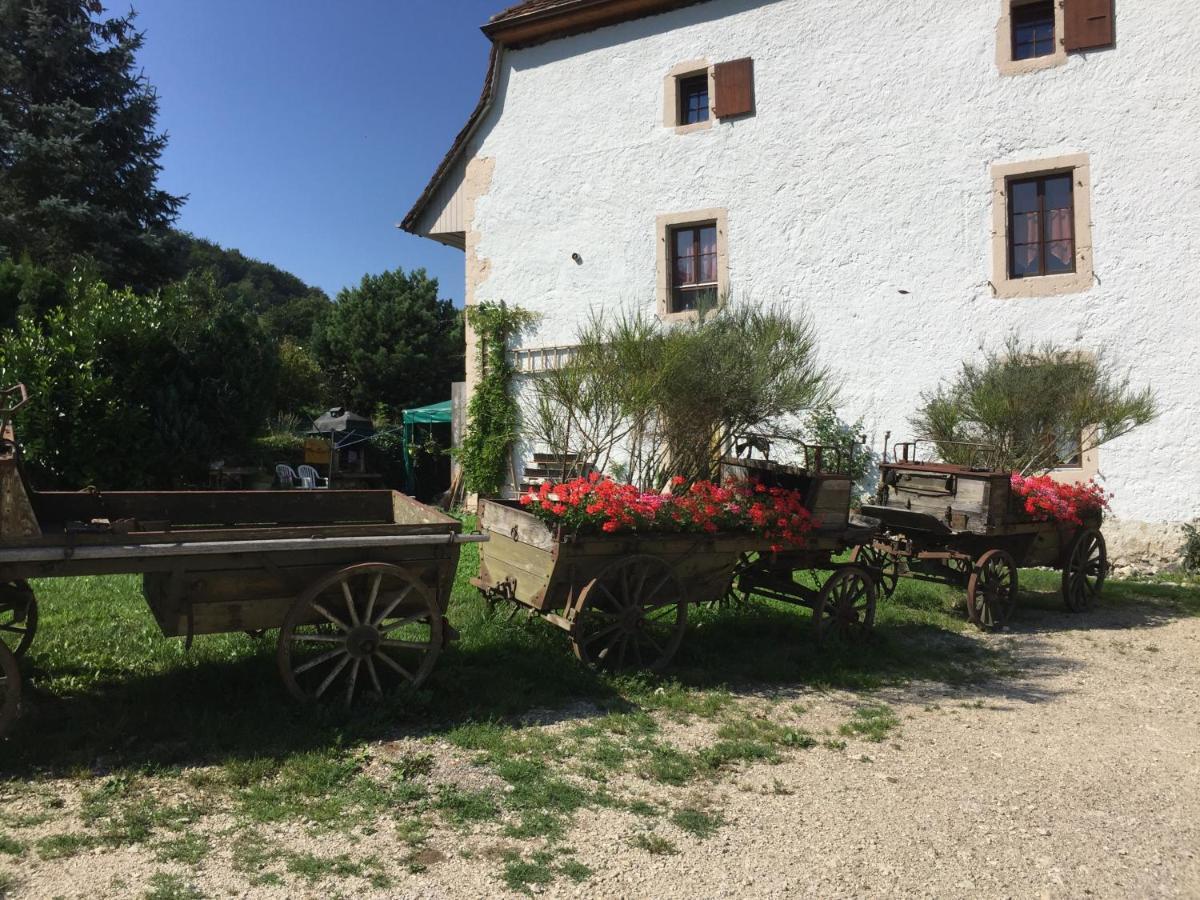 Bed and Breakfast Chez Dodo 2534 Orvin Le Foncet Evilard Екстер'єр фото